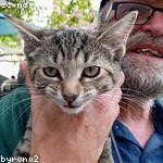 Kaci Rodriguez Profile Picture