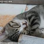 Guy Reynolds Profile Picture