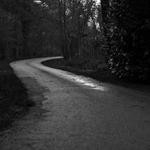 Rylan Simonis Profile Picture