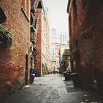 Kayli Gutmann Profile Picture