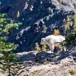 Kieran Lueilwitz Profile Picture