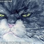 Dennis Nienow Profile Picture