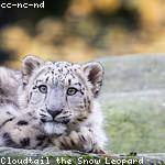 Kasey Hintz Profile Picture