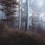 Lew Padberg Profile Picture