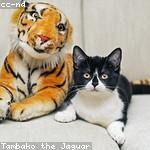 Sharon Schuster Profile Picture