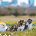 June Brown Profile Picture