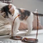 Colt Carter Profile Picture