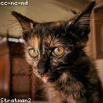 Kayla Bernier Profile Picture