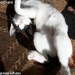 Elliott Schneider Profile Picture