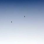 Mary Legros Profile Picture