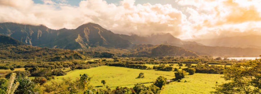 Cleo Heathcote Cover Image